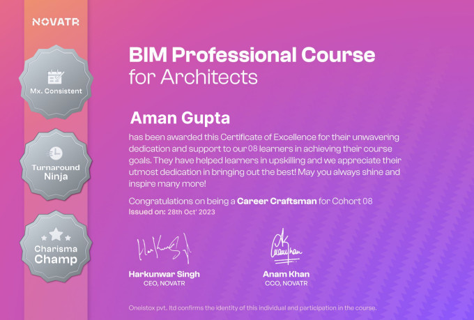 teach and provide consultation for bim and revit